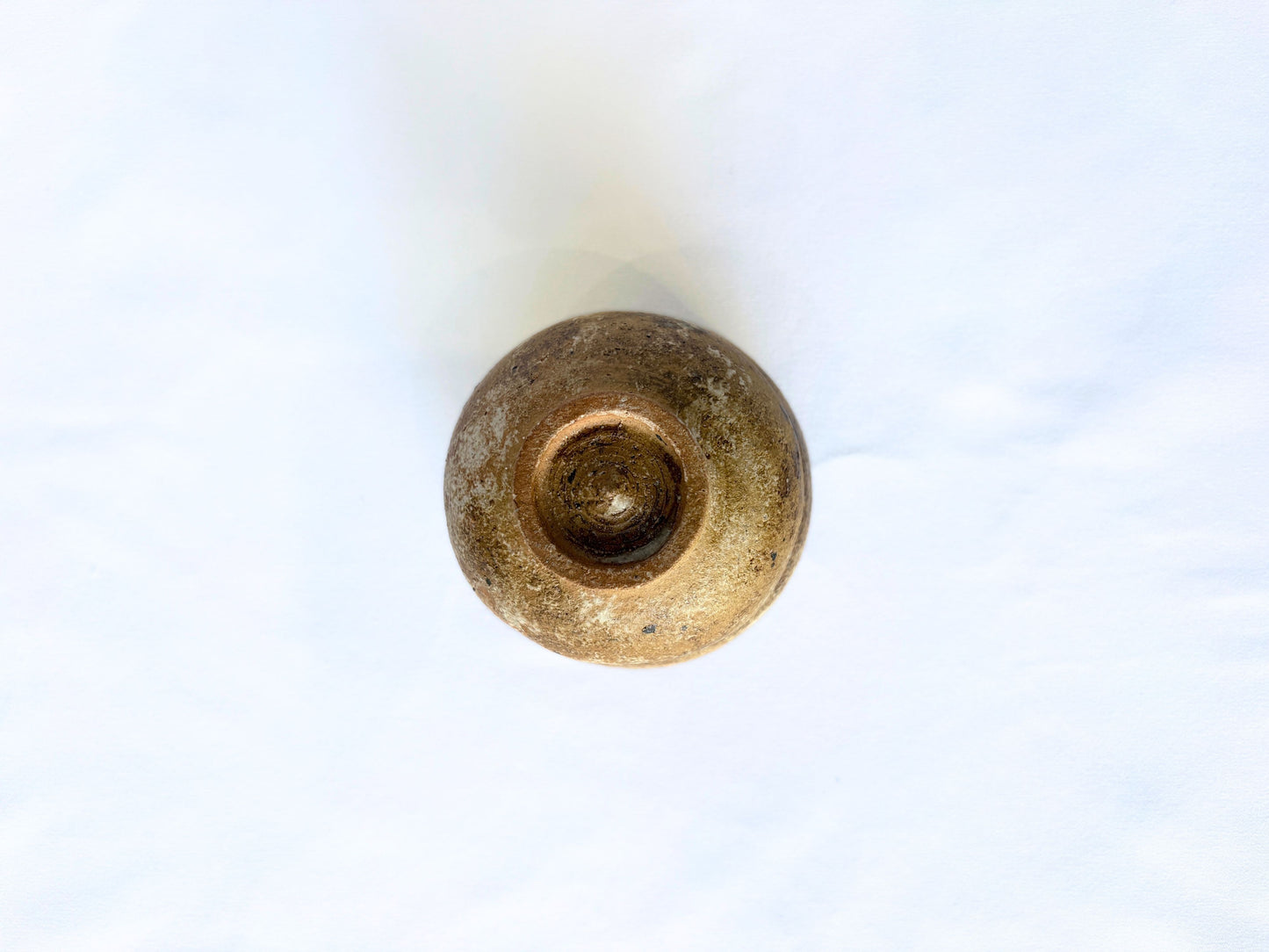 【バクキルン 浜田悠子】パンパスカップS 茶(C) / BK00033