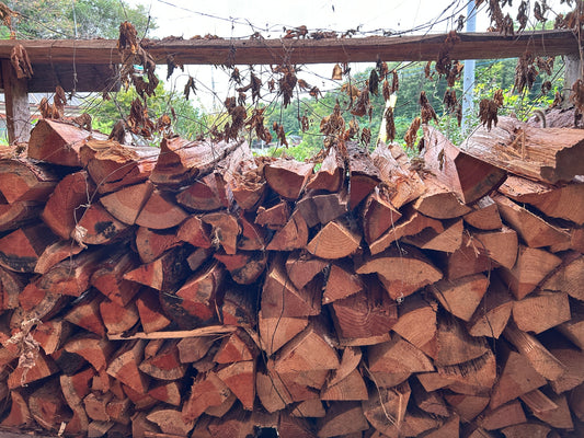 栃木益子〜茨城高萩〜福島いわきのうつわ（グルメ）紀行 ①