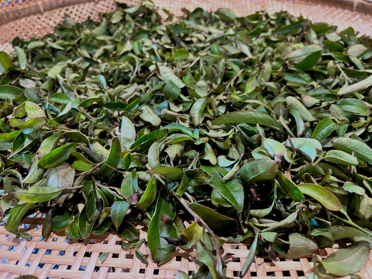 うてな茶屋 𠮷田家のお茶