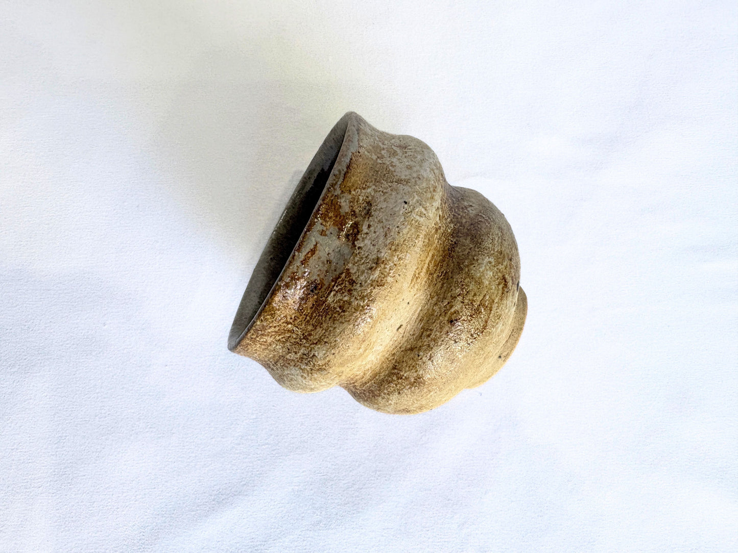 【バクキルン 浜田悠子】パンパスカップS 茶(A) / BK00033