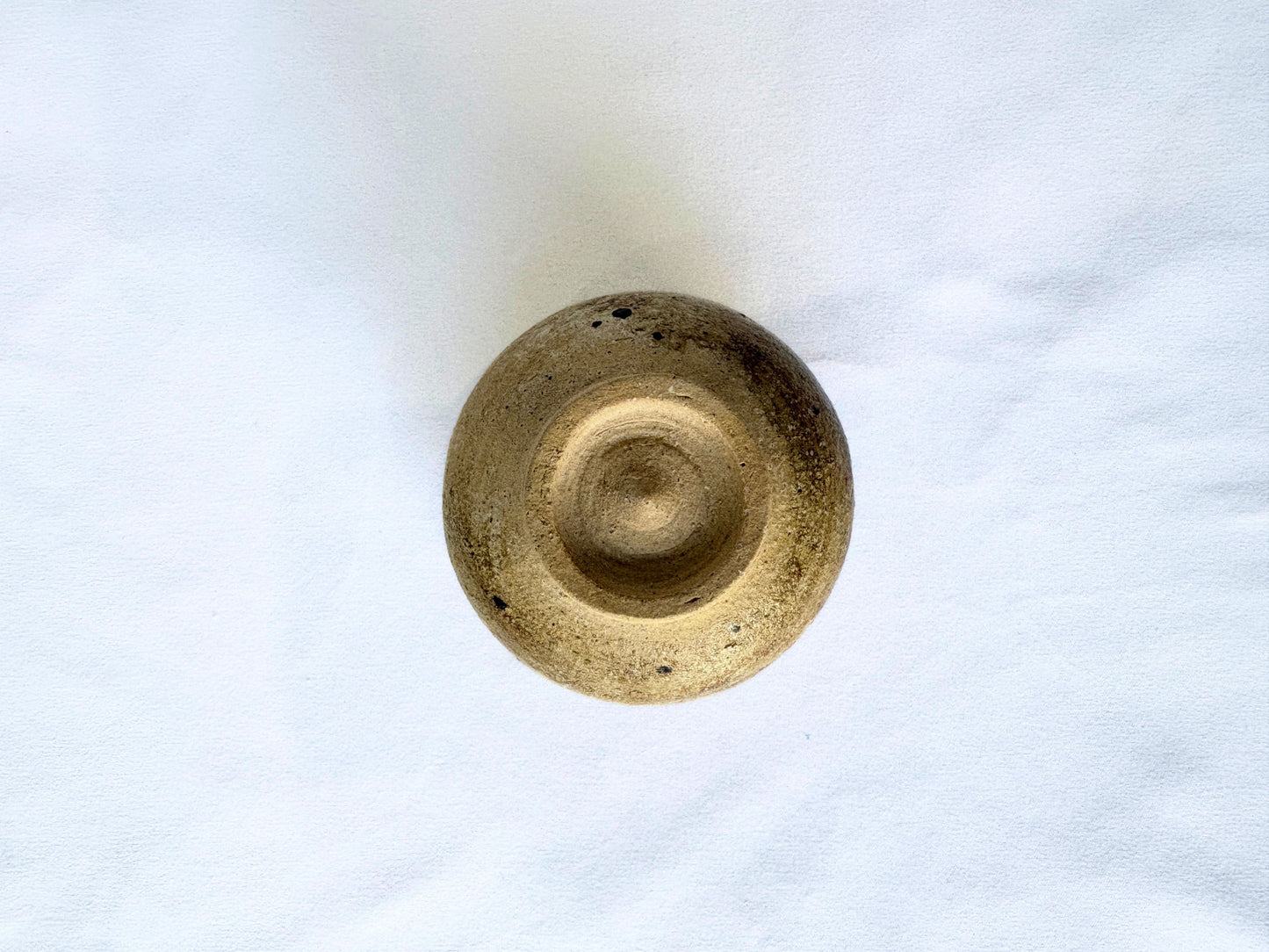 【バクキルン 浜田悠子】パンパスカップS 茶(A) / BK00033