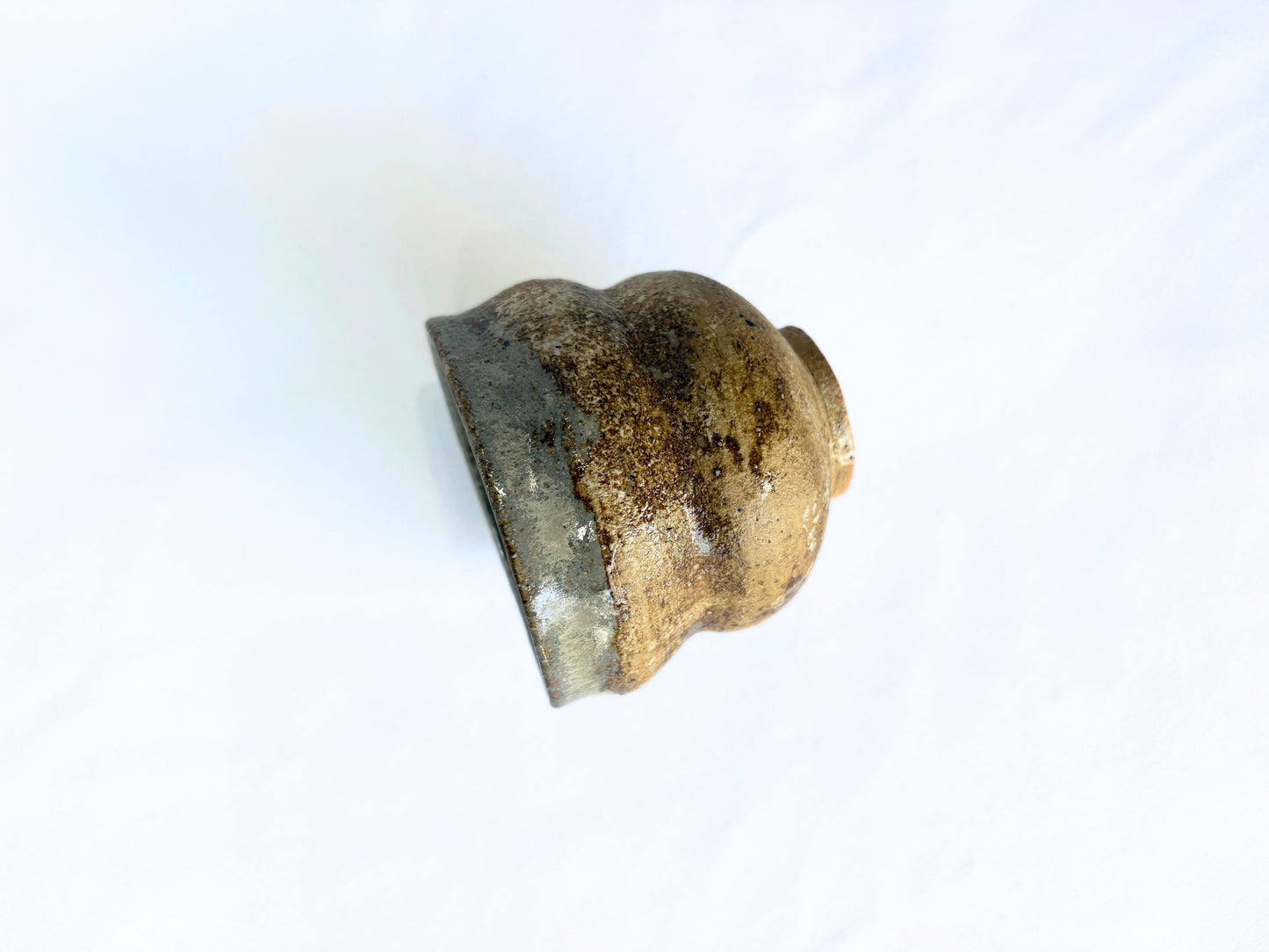 【バクキルン 浜田悠子】パンパスカップS 茶(C) / BK00033