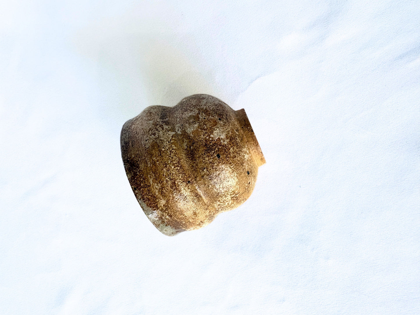 【バクキルン 浜田悠子】パンパスカップS 茶(C) / BK00033