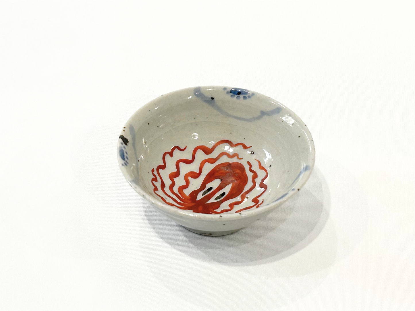 【沼田 智也】タコ文３寸小鉢 B/HK00599