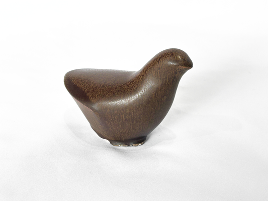 【円山栞多】ソフトバード　ブラウン/KM00006