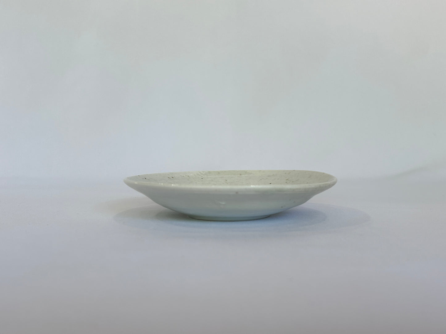 【井上 健太】白磁 小皿 01/HK00546