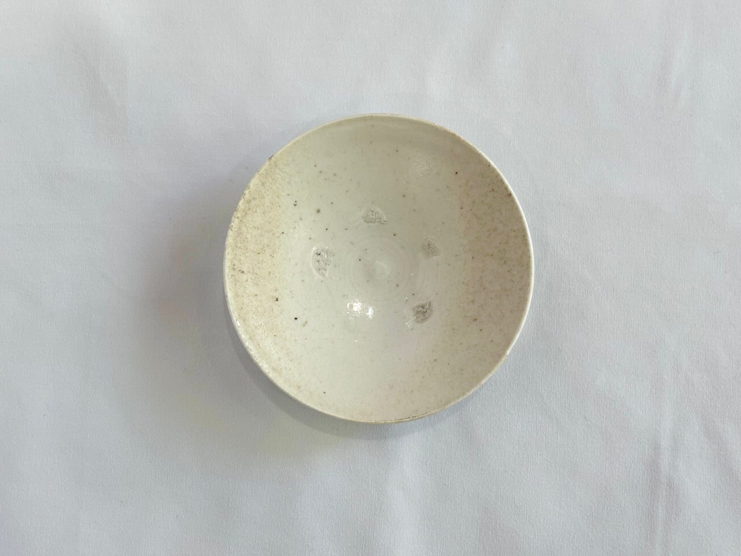 【井上 健太】白磁 小皿 03/HK00548