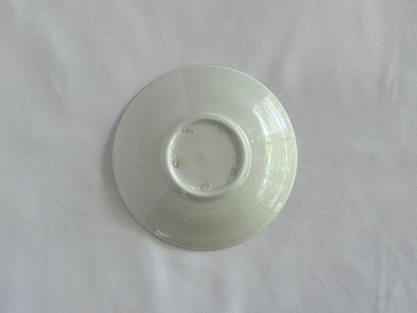 【井上 健太】白磁 小皿 04/HK00549