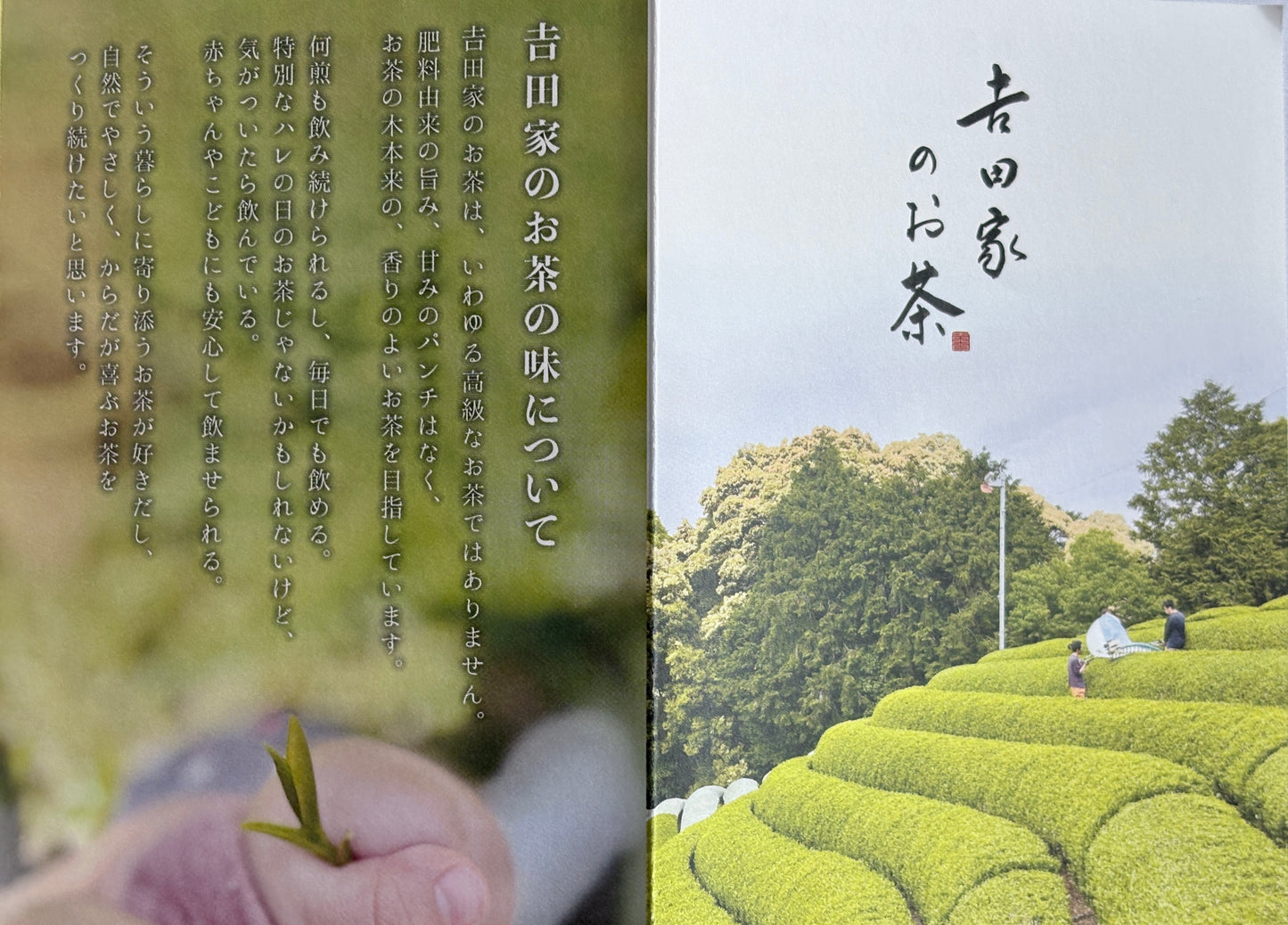 【うてな茶屋】𠮷田家のお茶 ほうじ茶 (300g) / QS00010